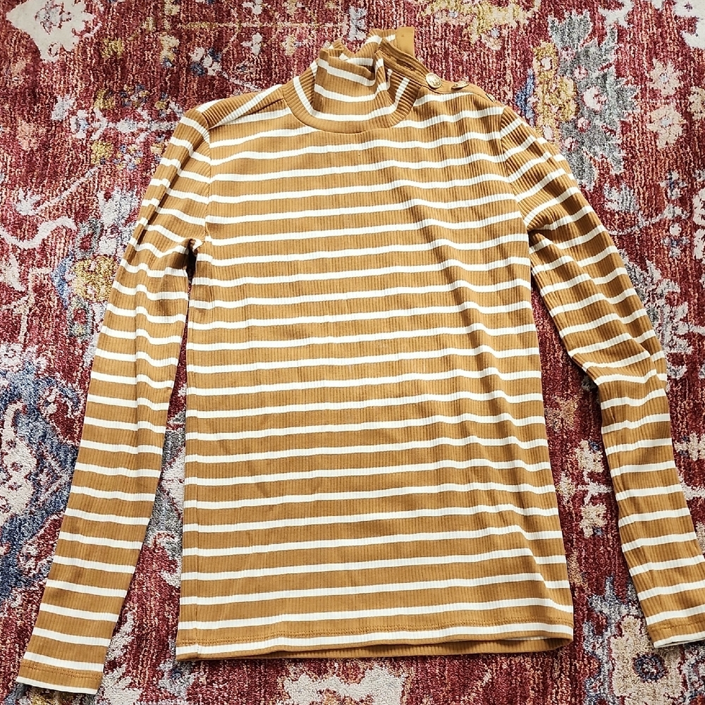 Striped Brown and White Turtleneck Top